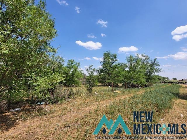 11 Navajo Road, Clovis