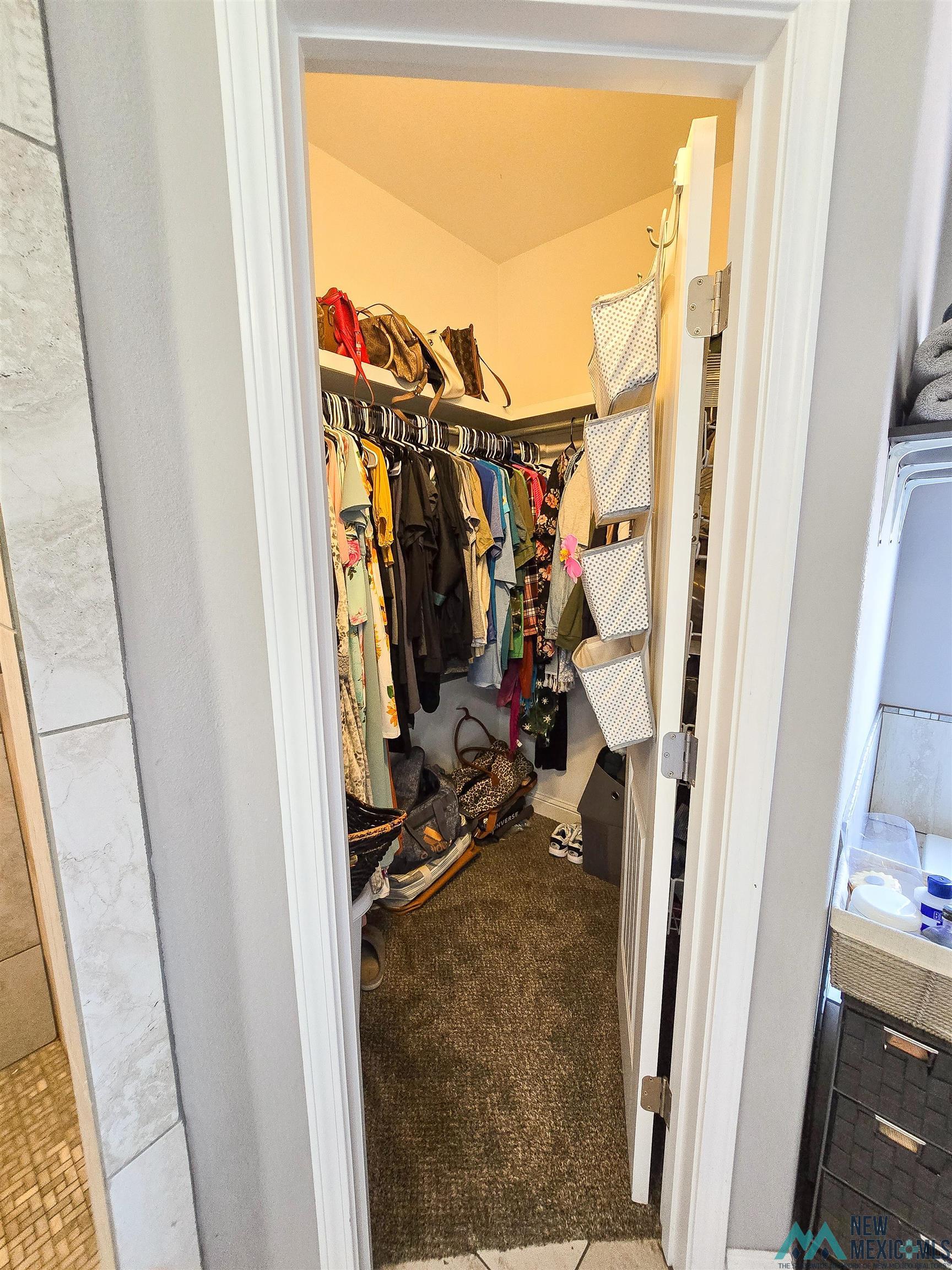 309 Nonpareil Lane, Clovis