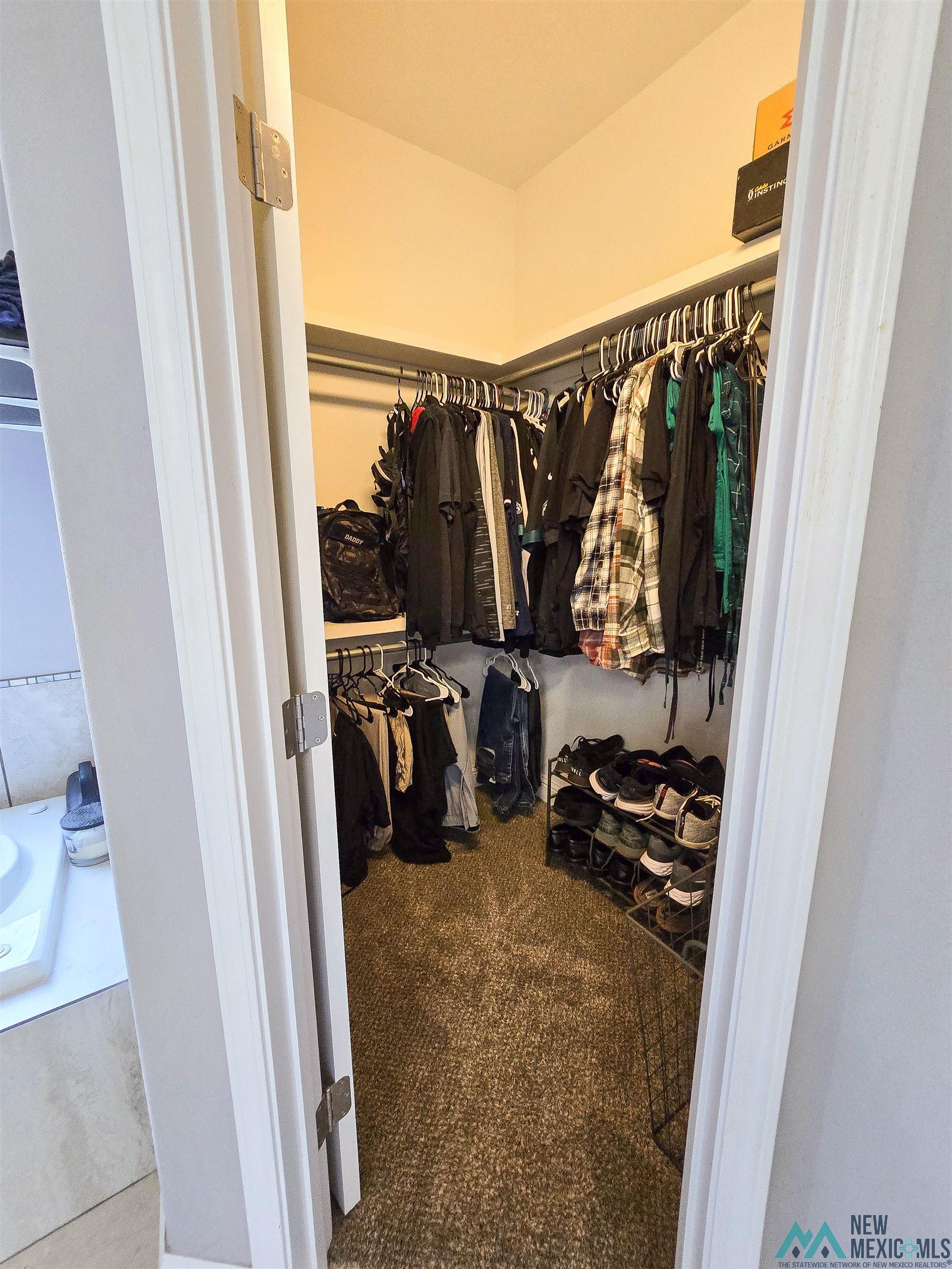 309 Nonpareil Lane, Clovis