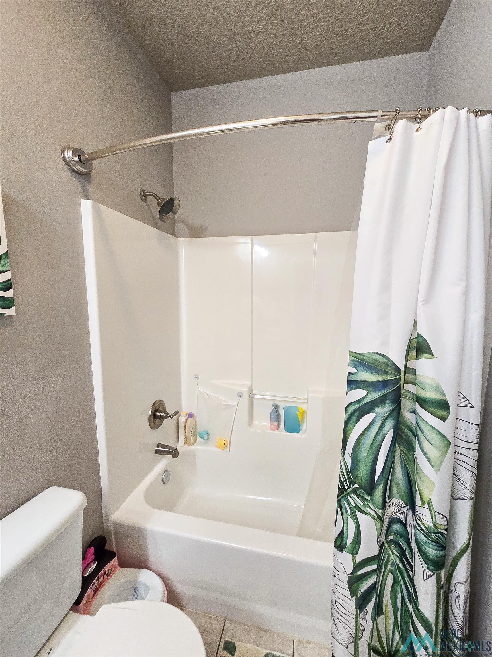 309 Nonpareil Lane, Clovis
