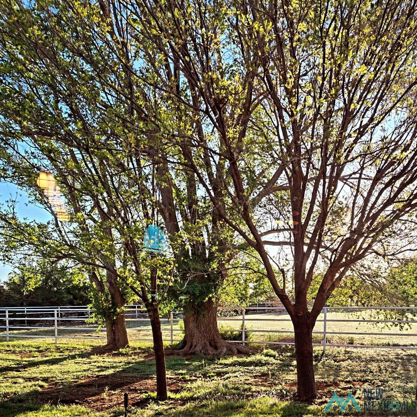 909 State Road 77 Road