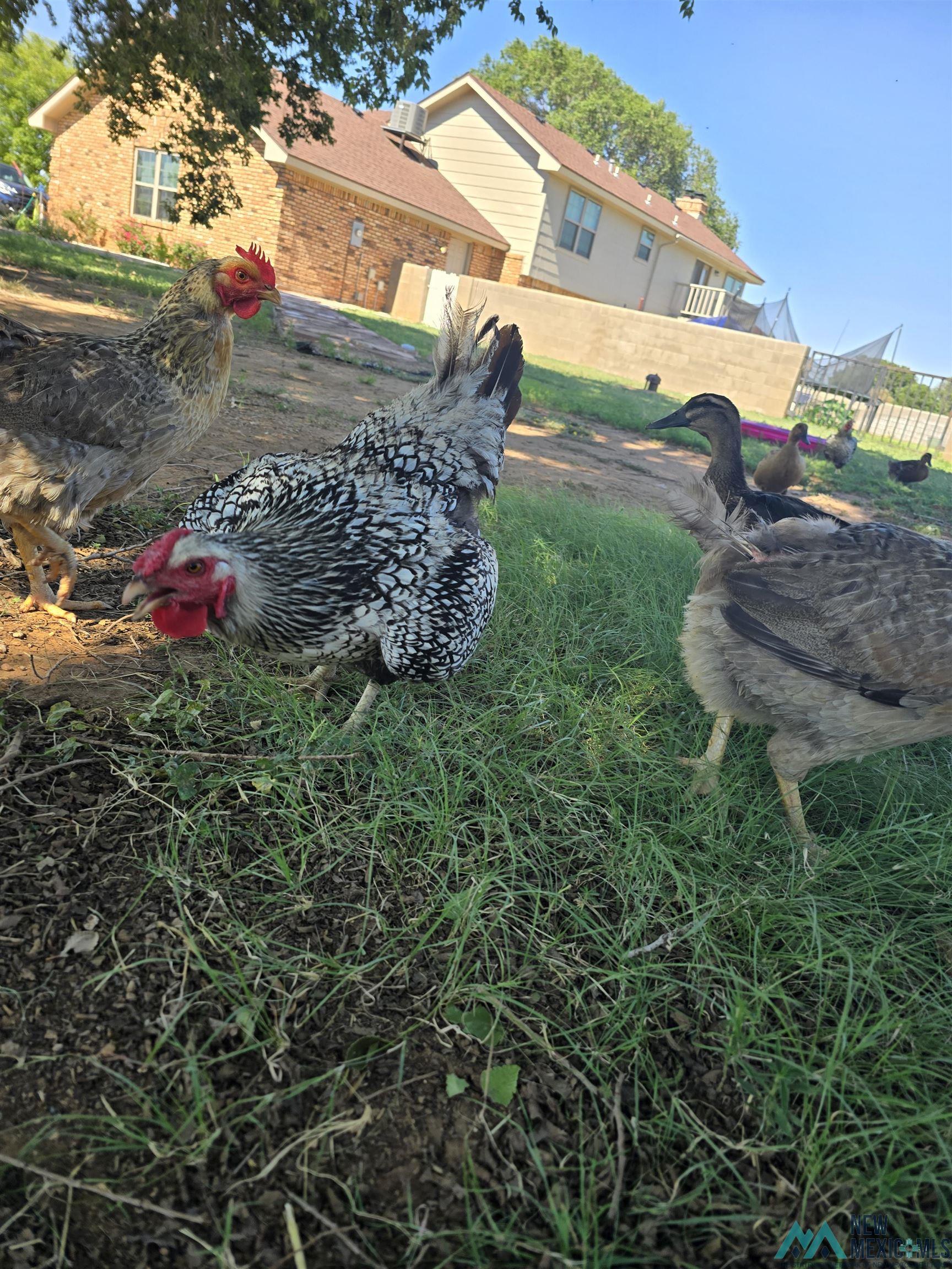 909 State Road 77 Road