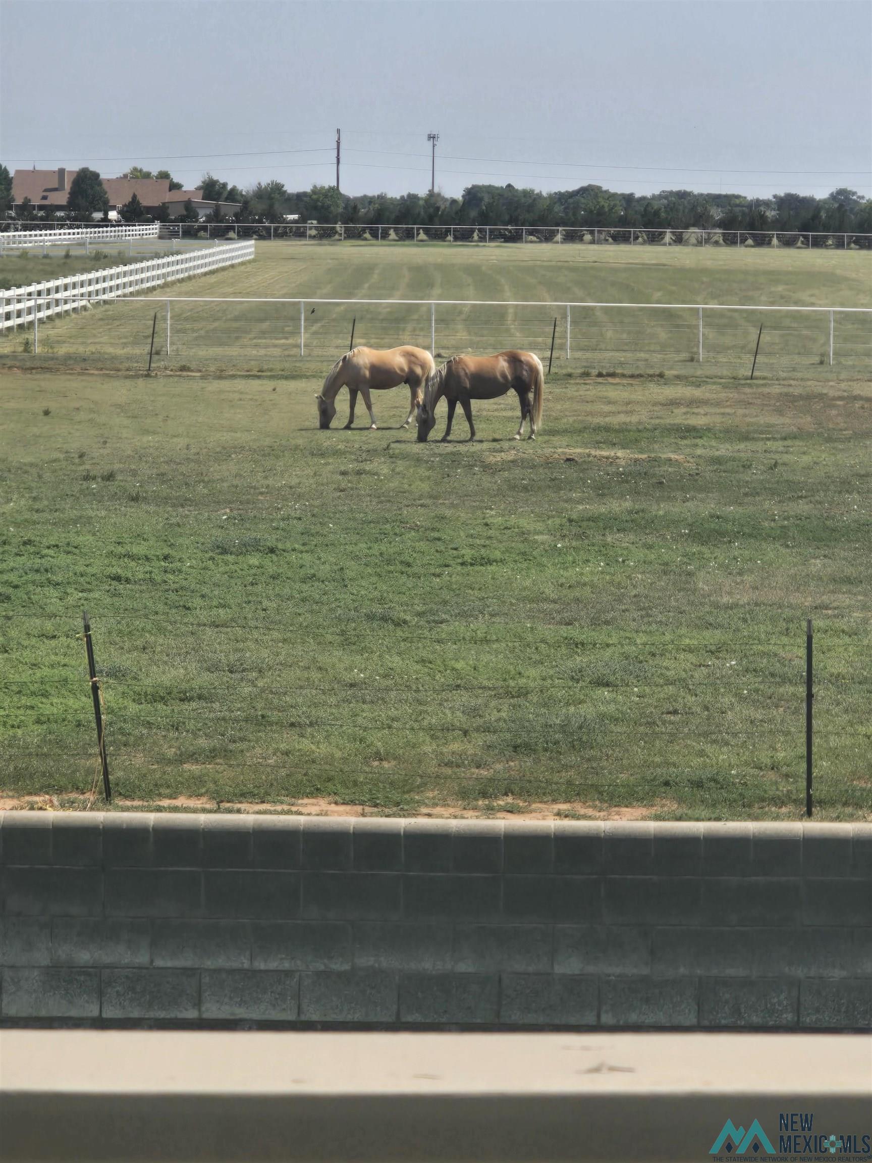 909 State Road 77 Road