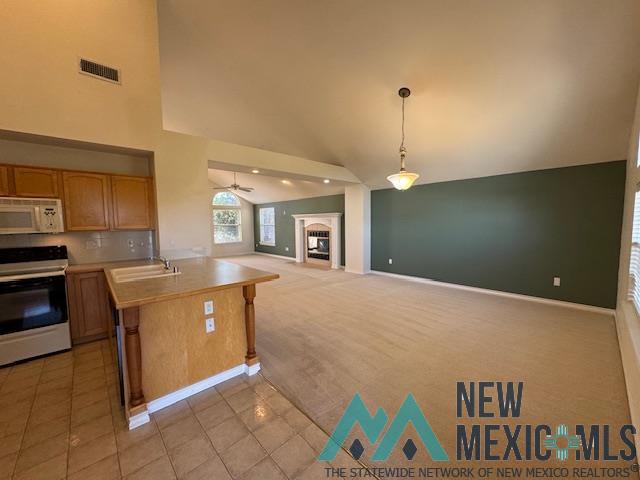 3804 Benjamin Davis Drive