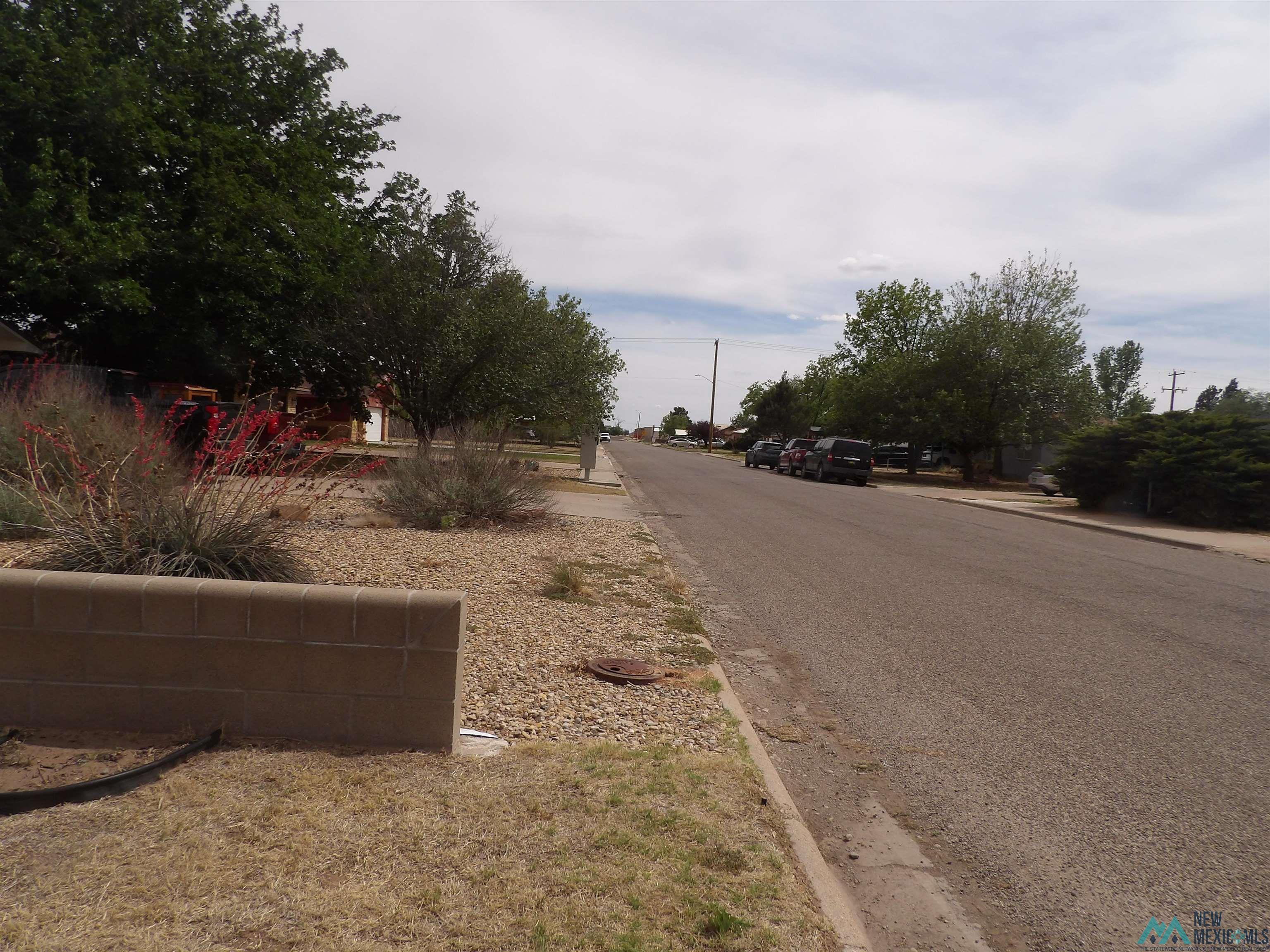 1605 S Avenue B Avenue