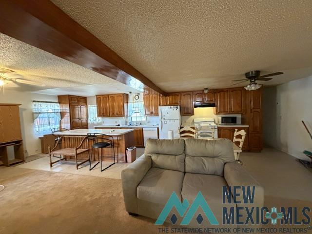 620 Brionne Drive