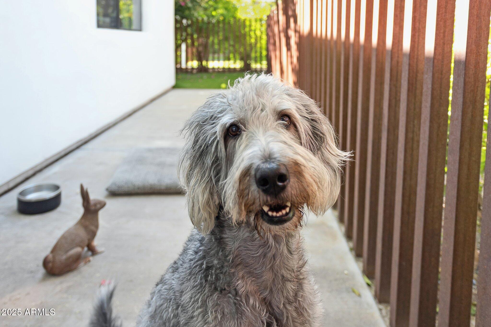 7005 E JACKRABBIT Road