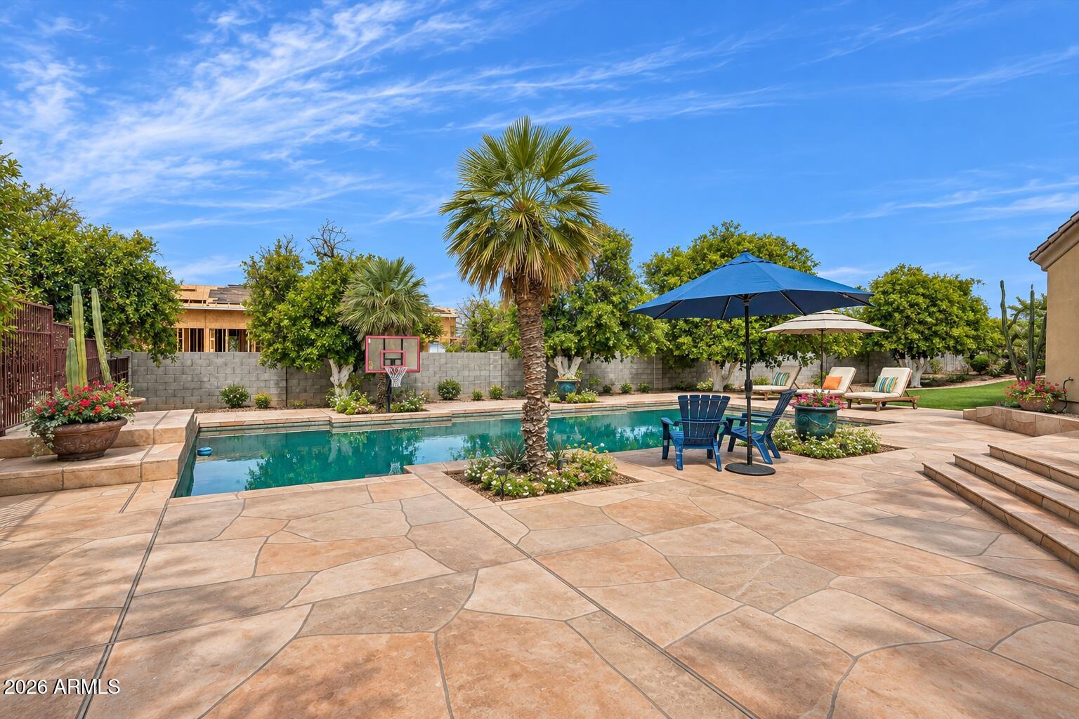 Backyard pool with a basketball hoop, palm trees, and shaded patio seating.