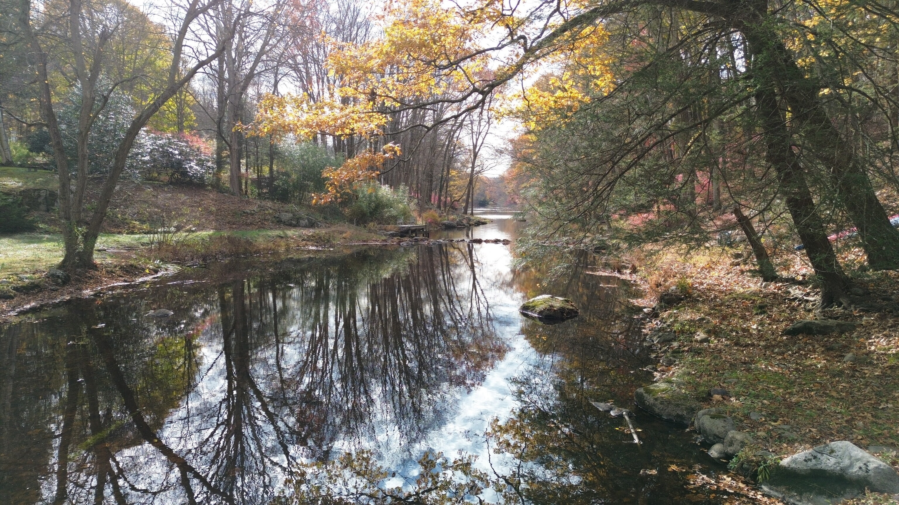 24 Nordholm Drive 24