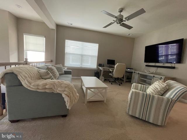 20565 CATTAIL CREEK LANE