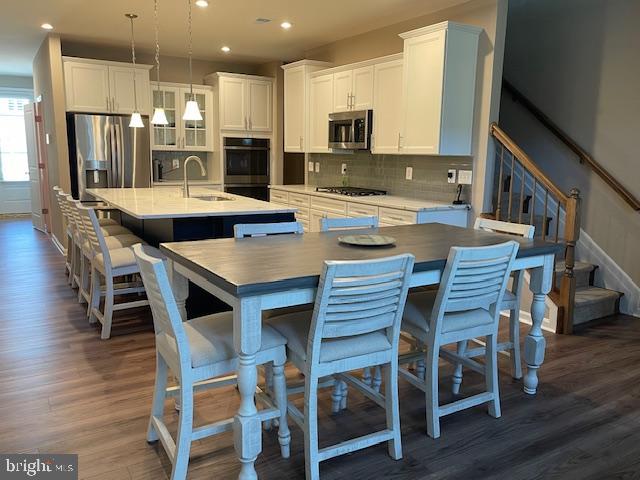 20565 CATTAIL CREEK LANE