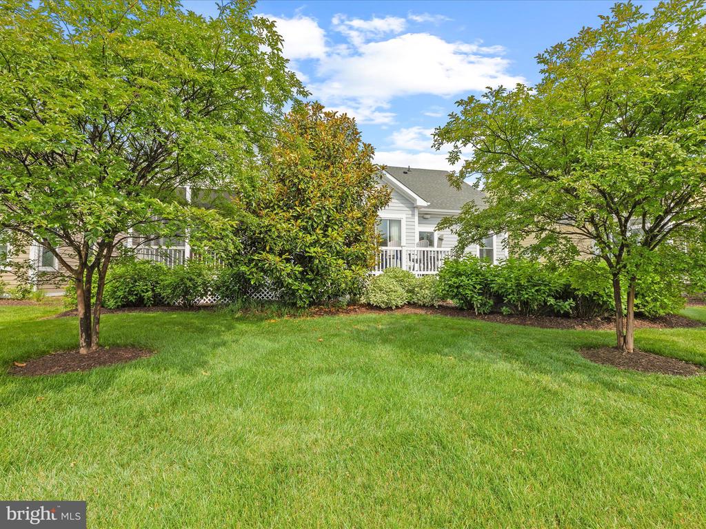30221 CANDLEBERRY DRIVE