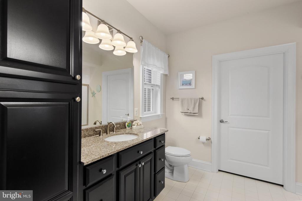 36255 WATERLEAF