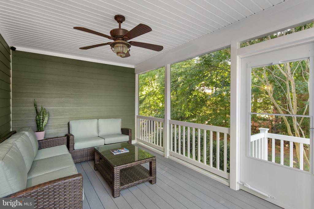 36255 WATERLEAF