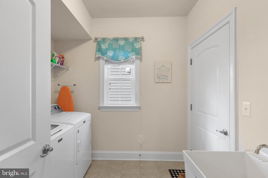 36255 WATERLEAF