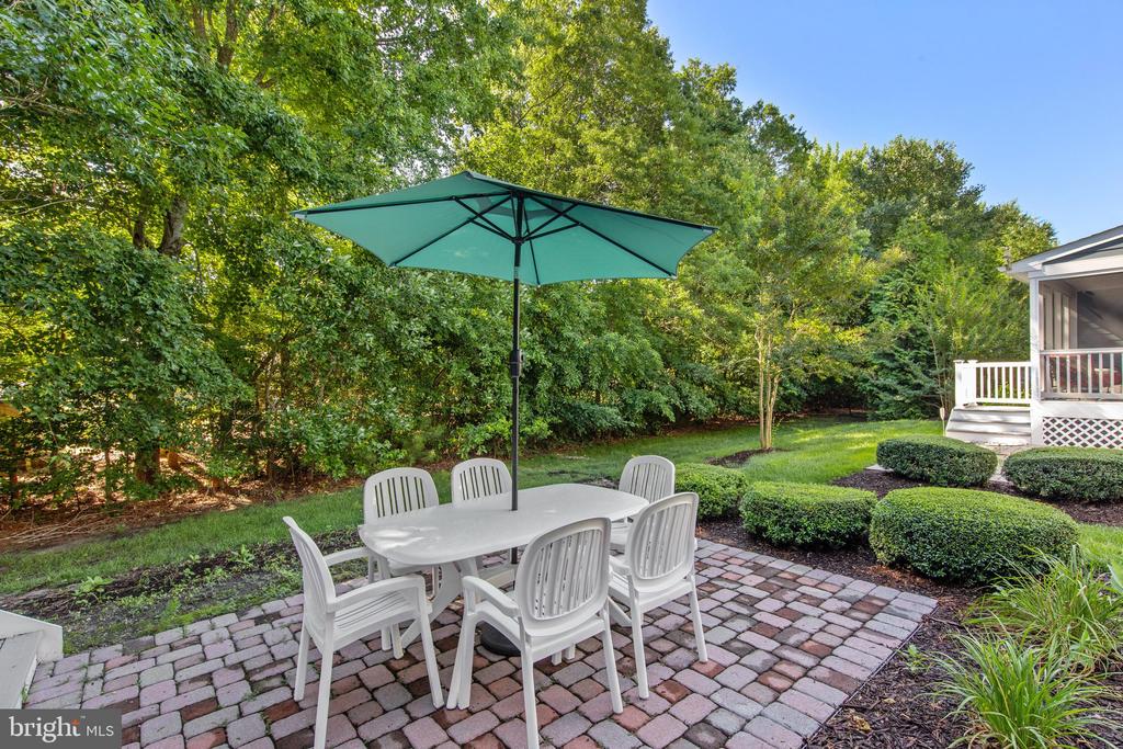 36255 WATERLEAF