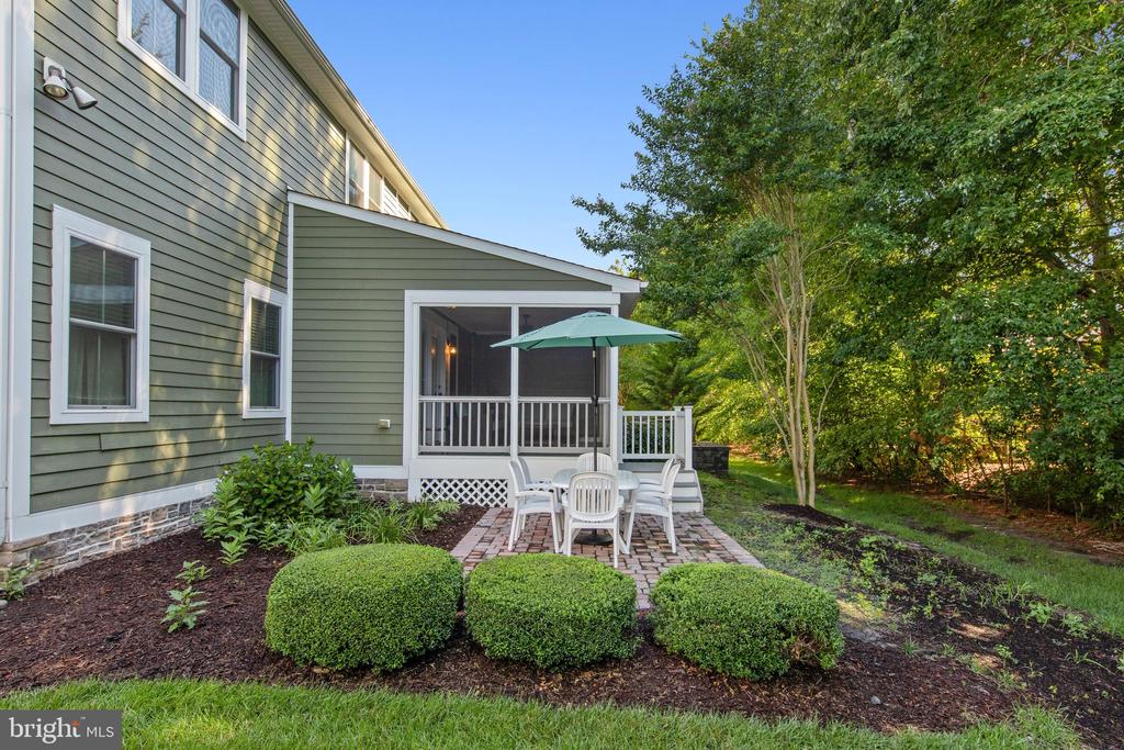 36255 WATERLEAF
