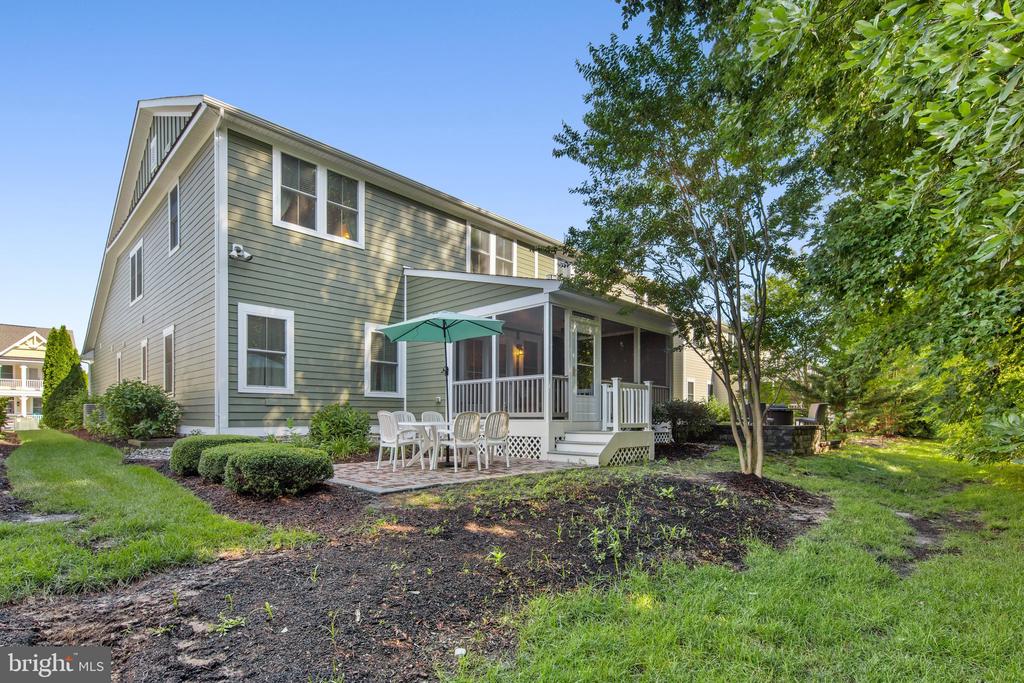 36255 WATERLEAF