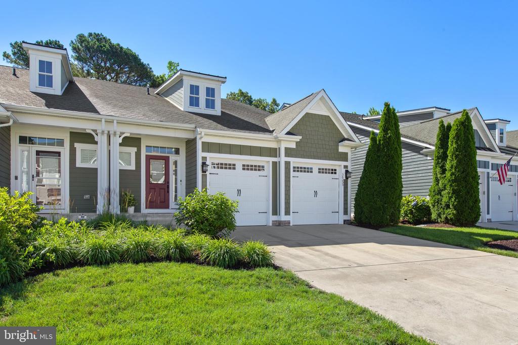 36255 WATERLEAF