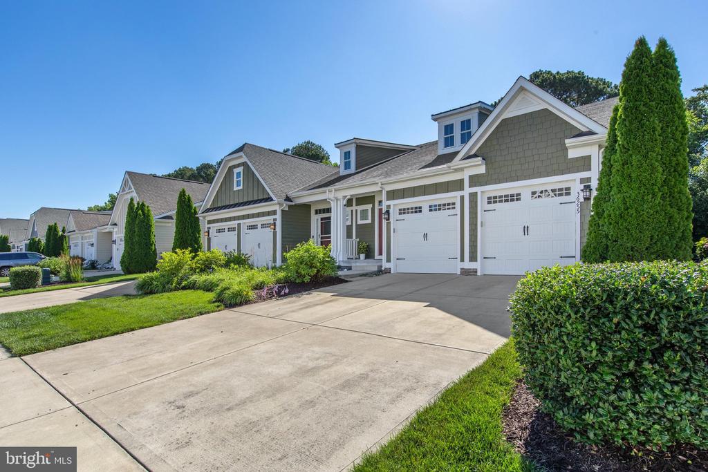 36255 WATERLEAF