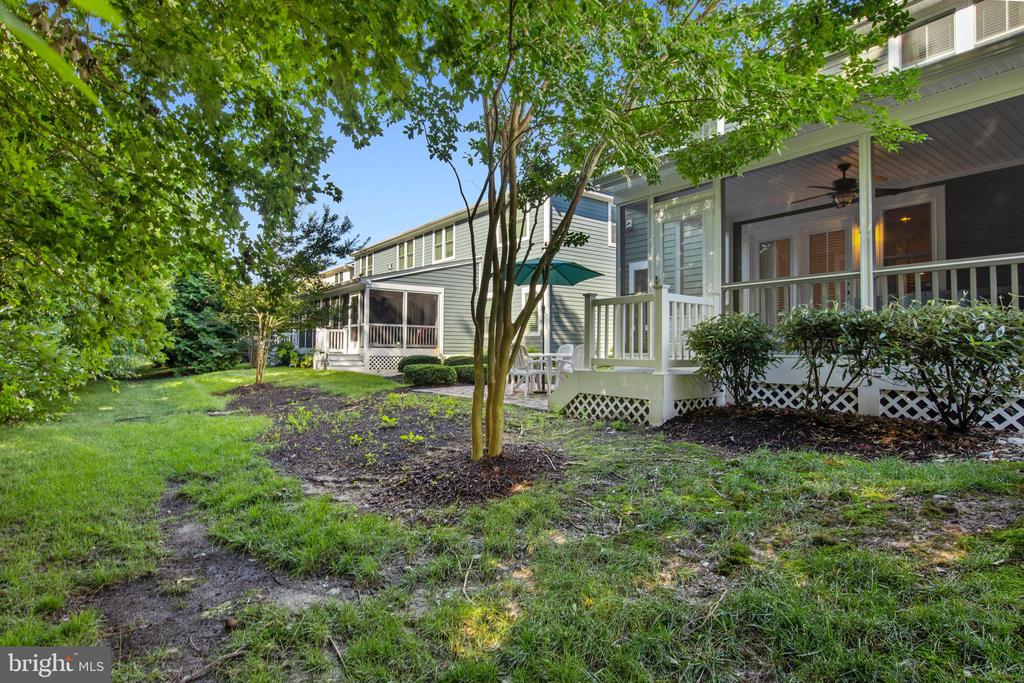 36255 WATERLEAF