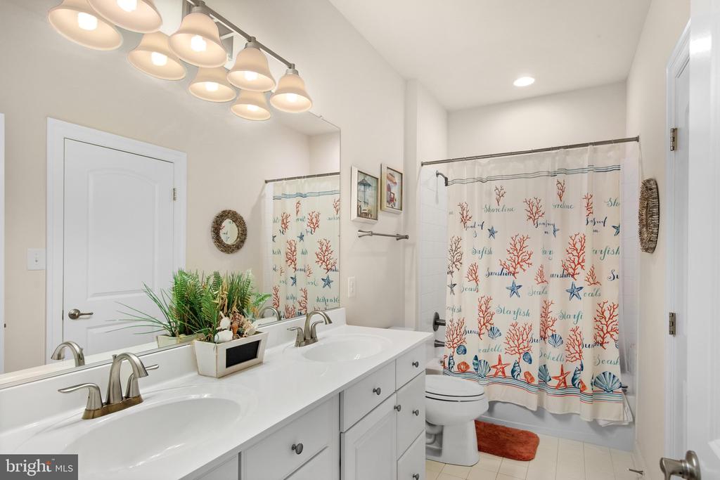 36255 WATERLEAF