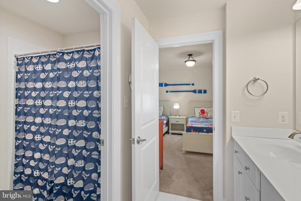 36255 WATERLEAF