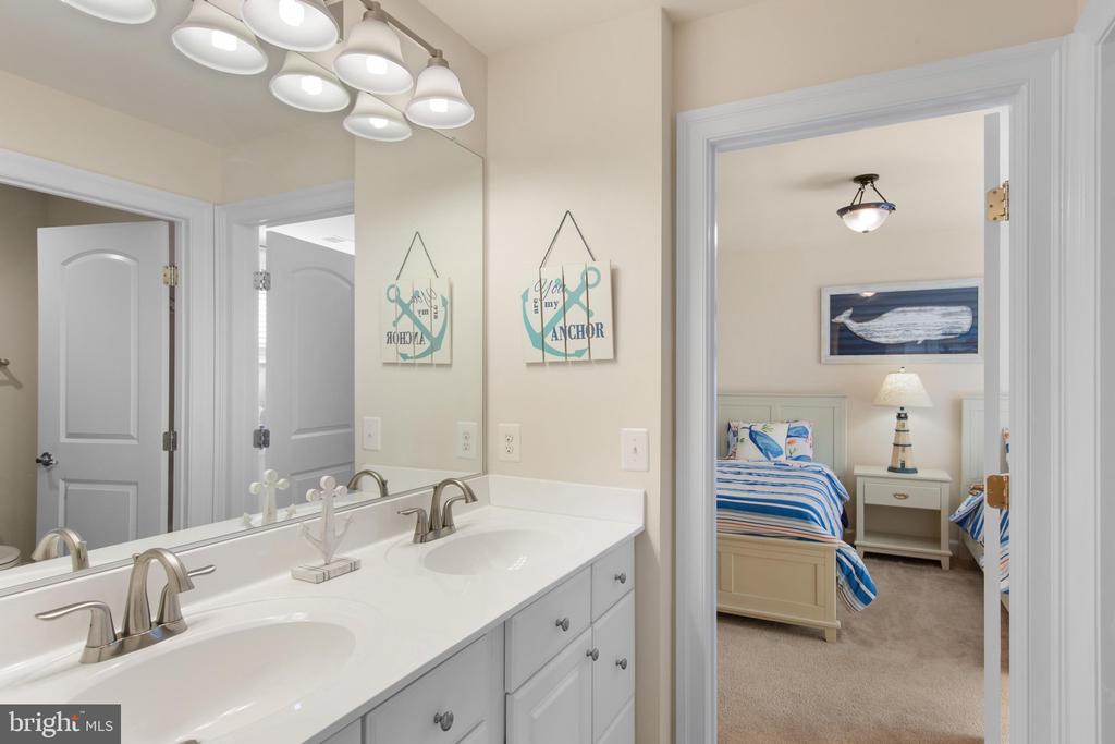 36255 WATERLEAF