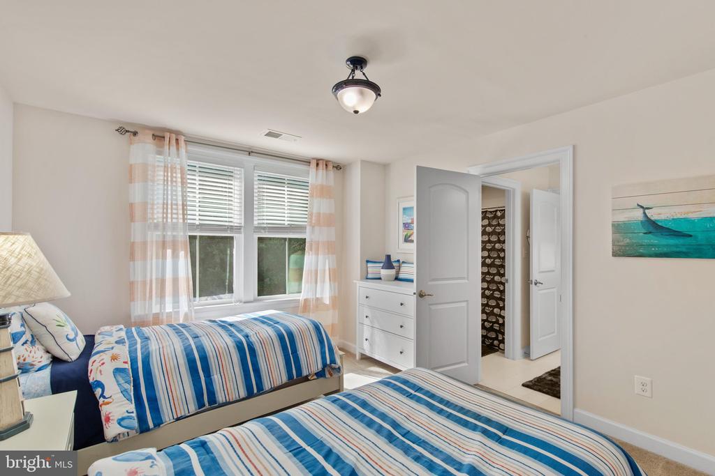 36255 WATERLEAF