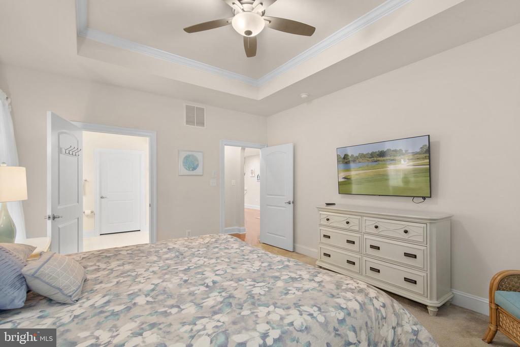 36255 WATERLEAF