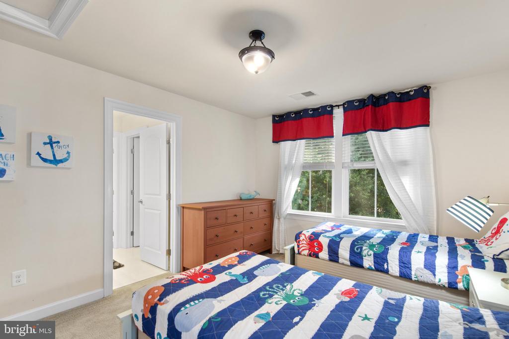36255 WATERLEAF