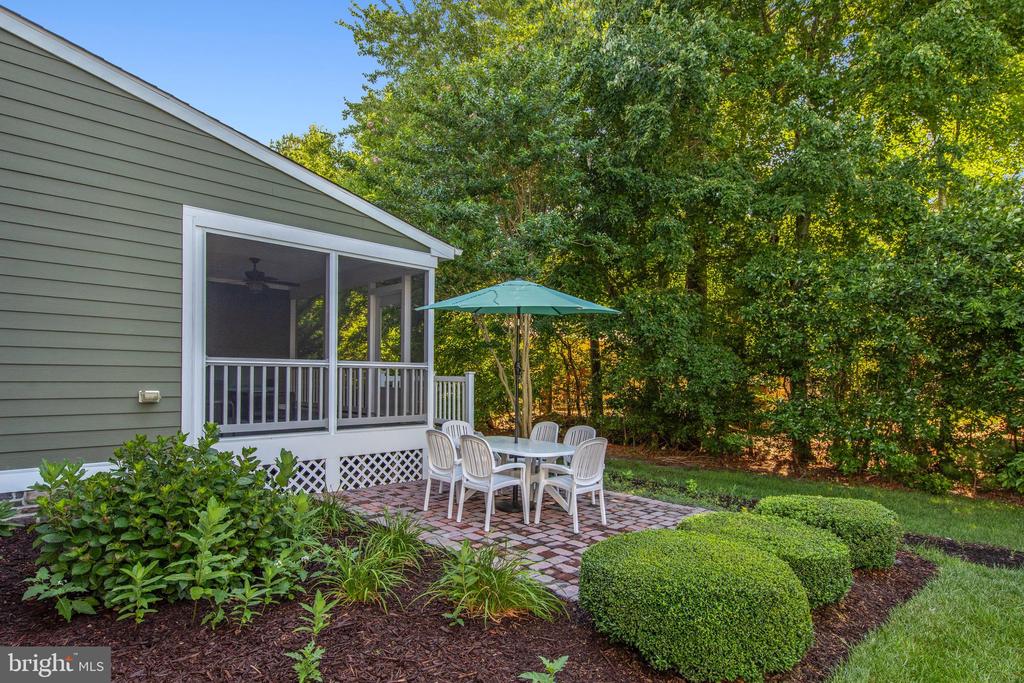 36255 WATERLEAF