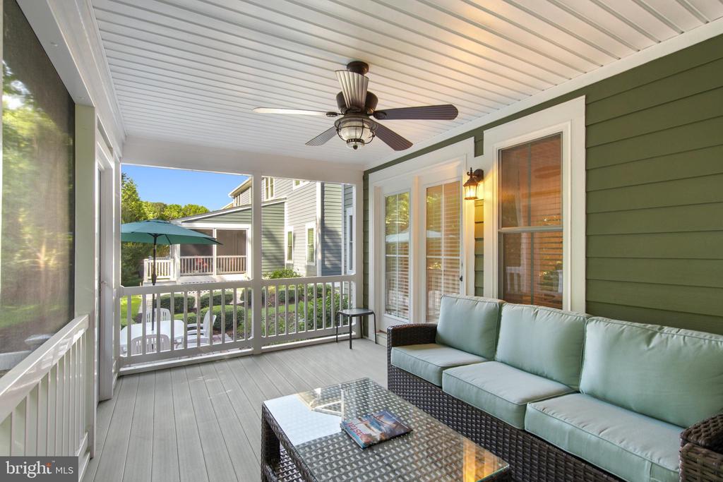 36255 WATERLEAF