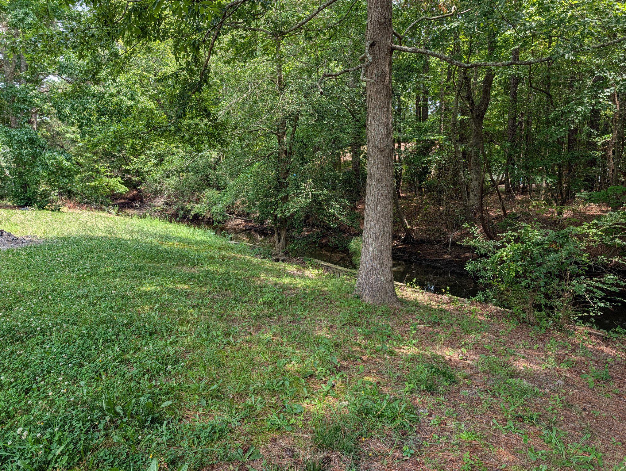 12208 DUCK LANE