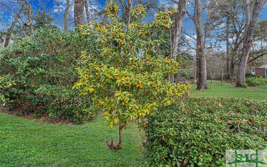 139 Goshen Oaks Lane