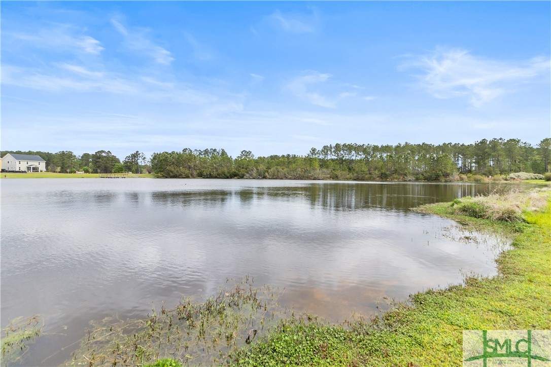 192 Lake Lily Drive
