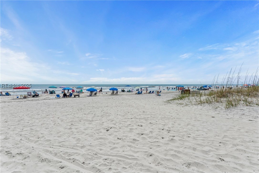 9 Tanglewood Drive Unit: 905