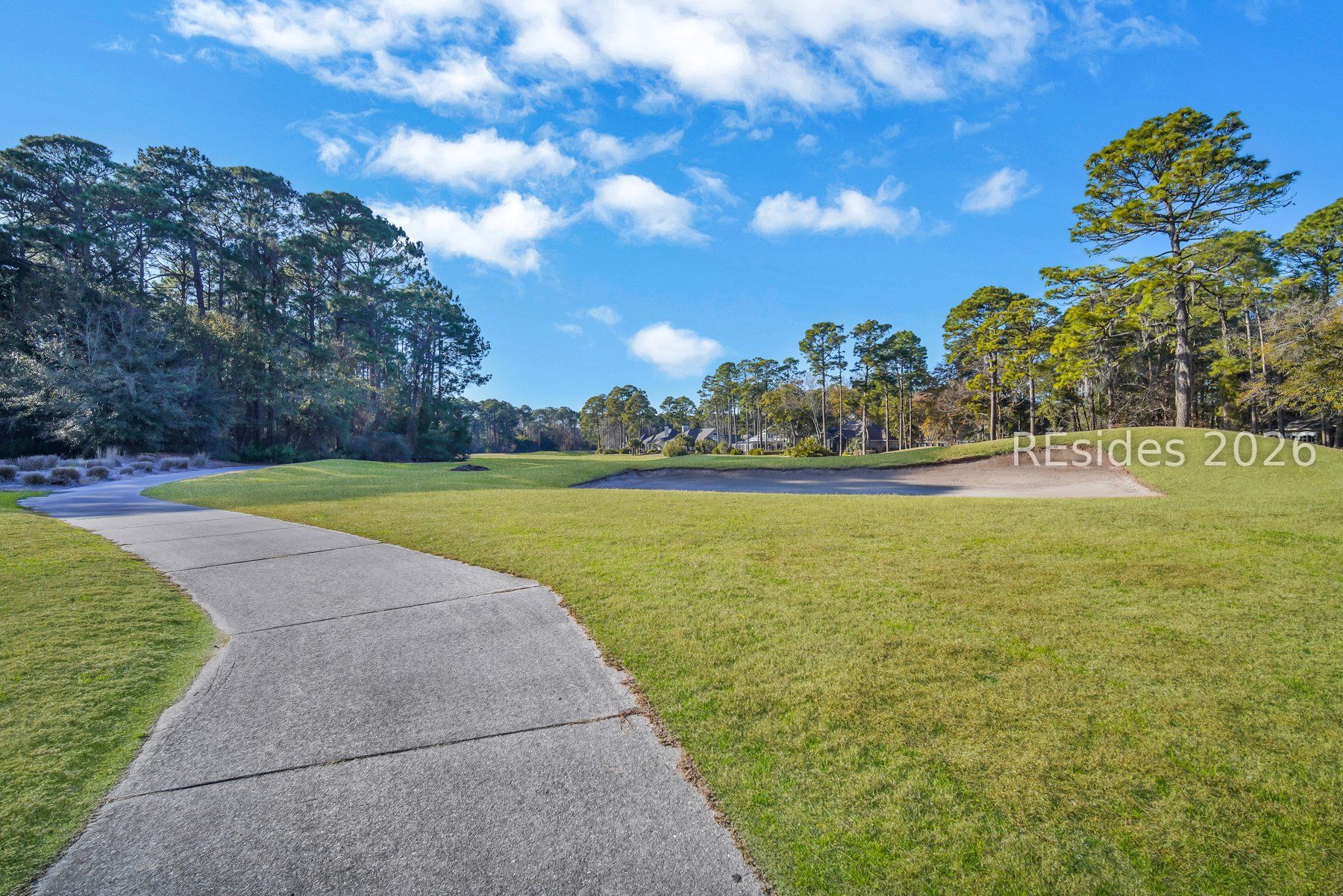 11 Sedge Fern Drive