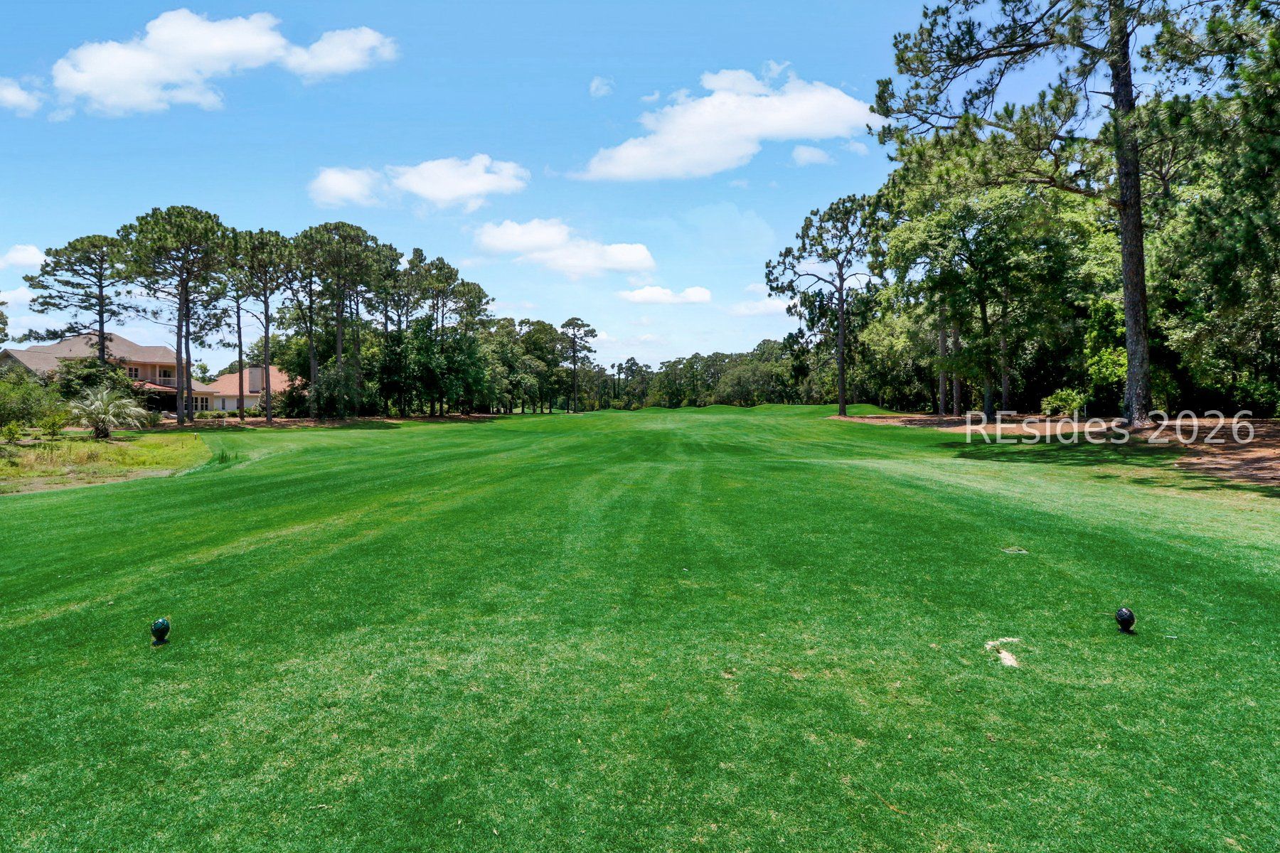 11 Sedge Fern Drive