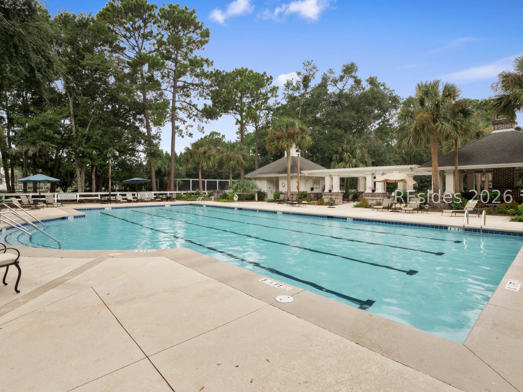 11 Sedge Fern Drive