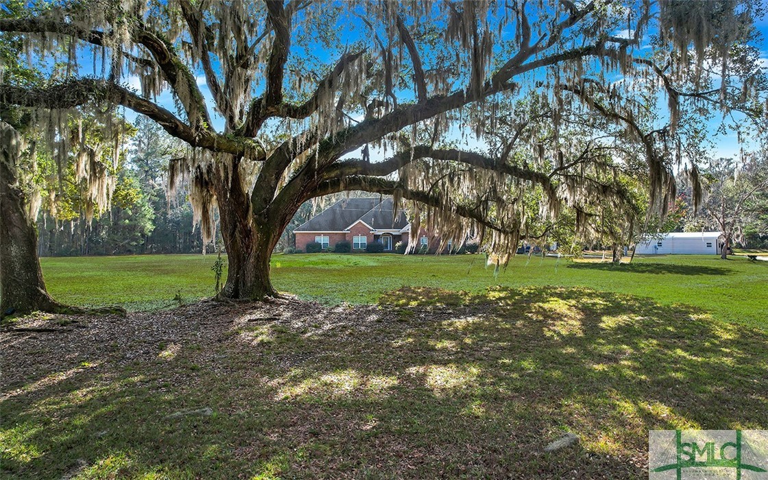 3324 Little Mccall Road