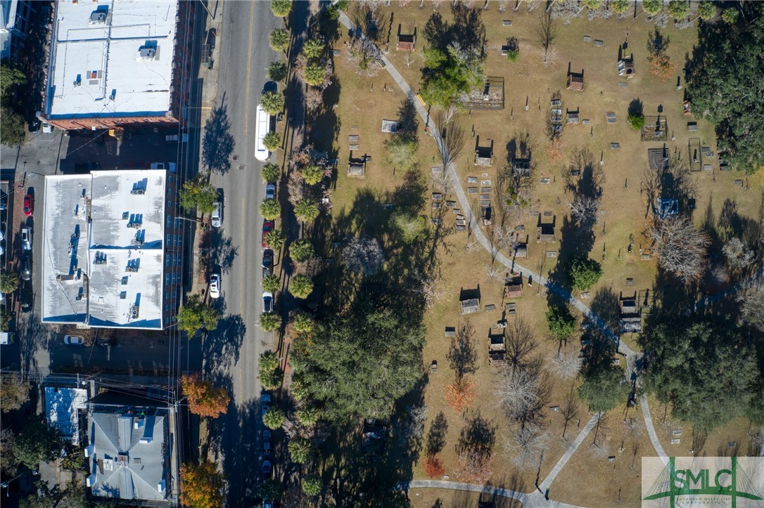 217 Abercorn Street C1