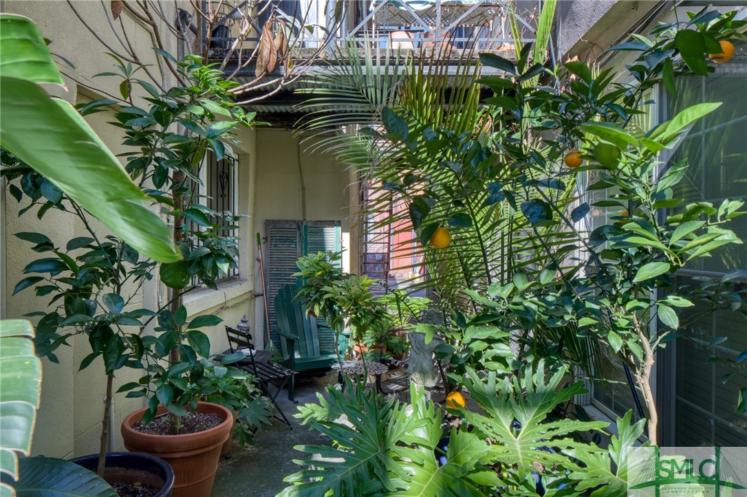 217 Abercorn Street C1