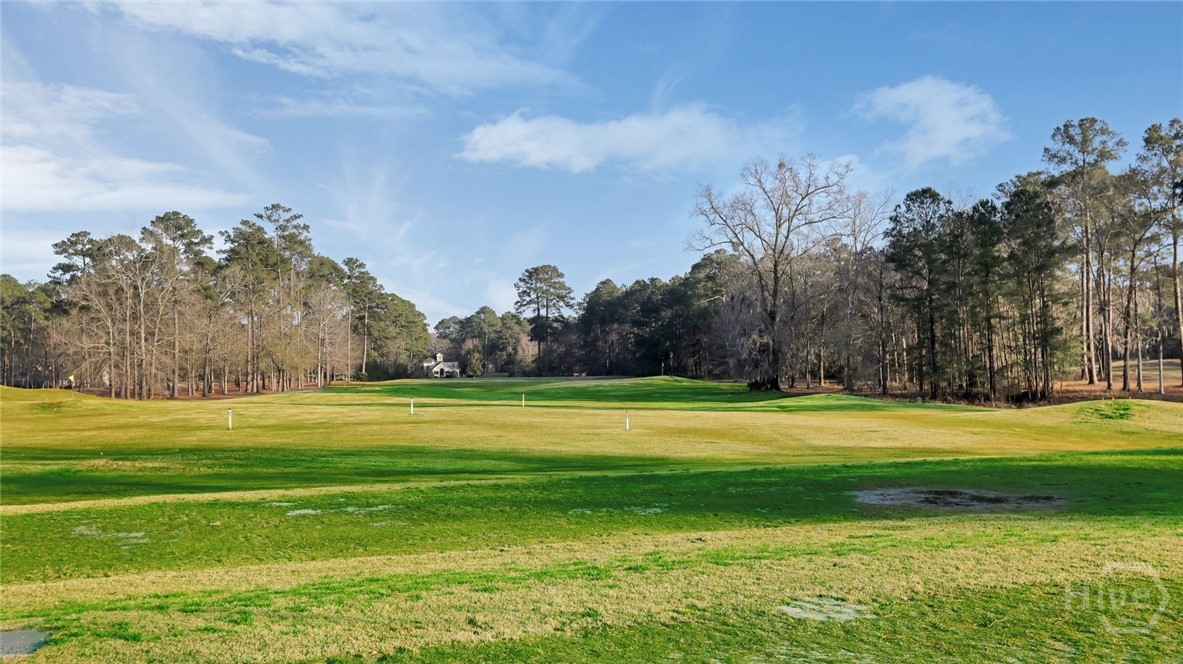 17 Hickory Grove Point