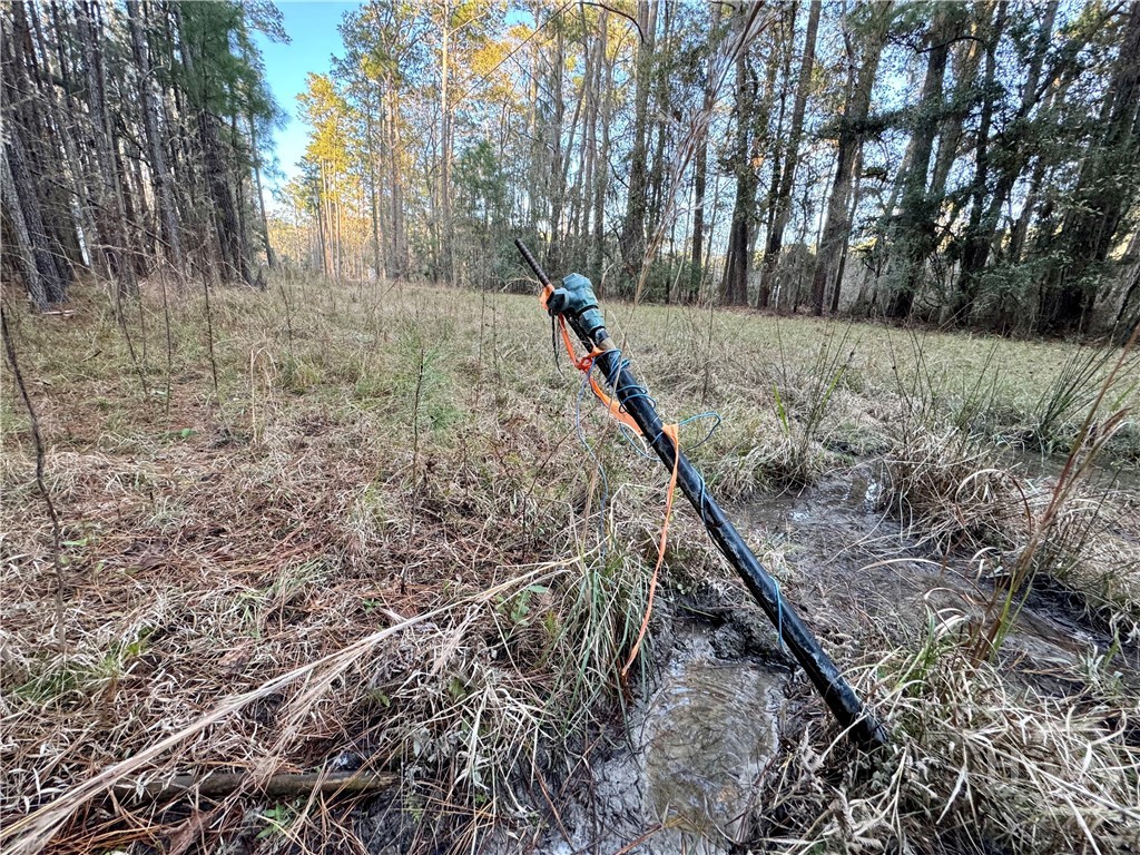 2205 Grove Point Road