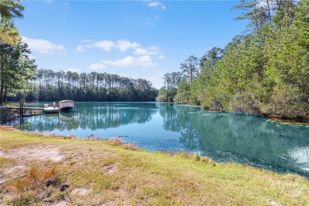 289 Heron Creek Drive