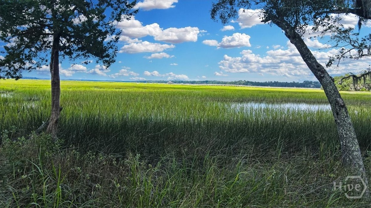 3217 Coopers Point Drive