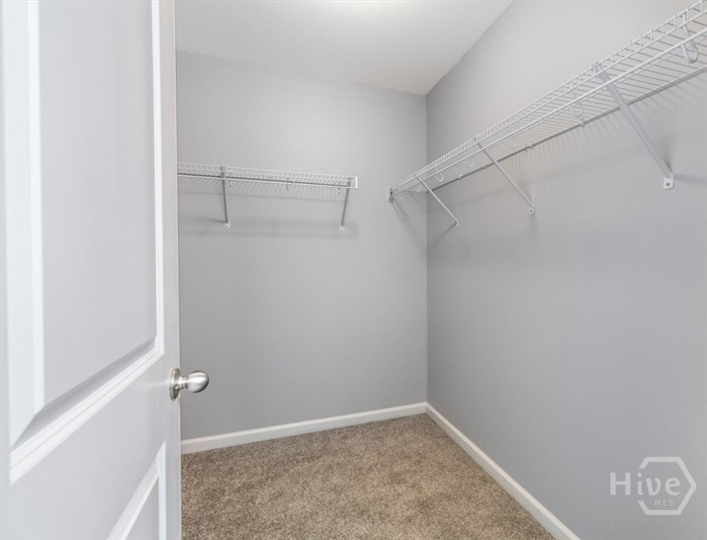 314 Hitching Post Lane