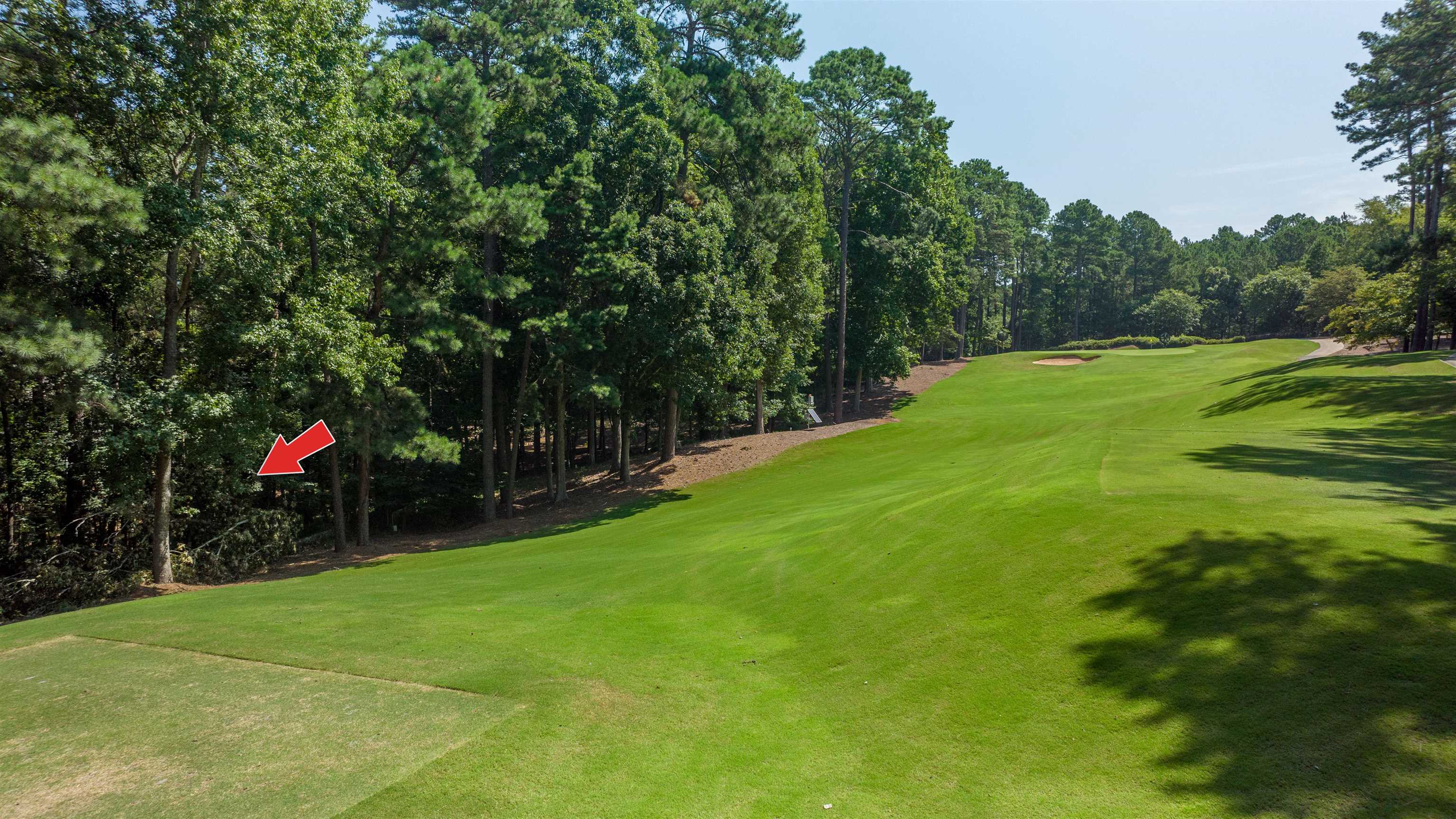 1261 CEDAR RIDGE DRIVE