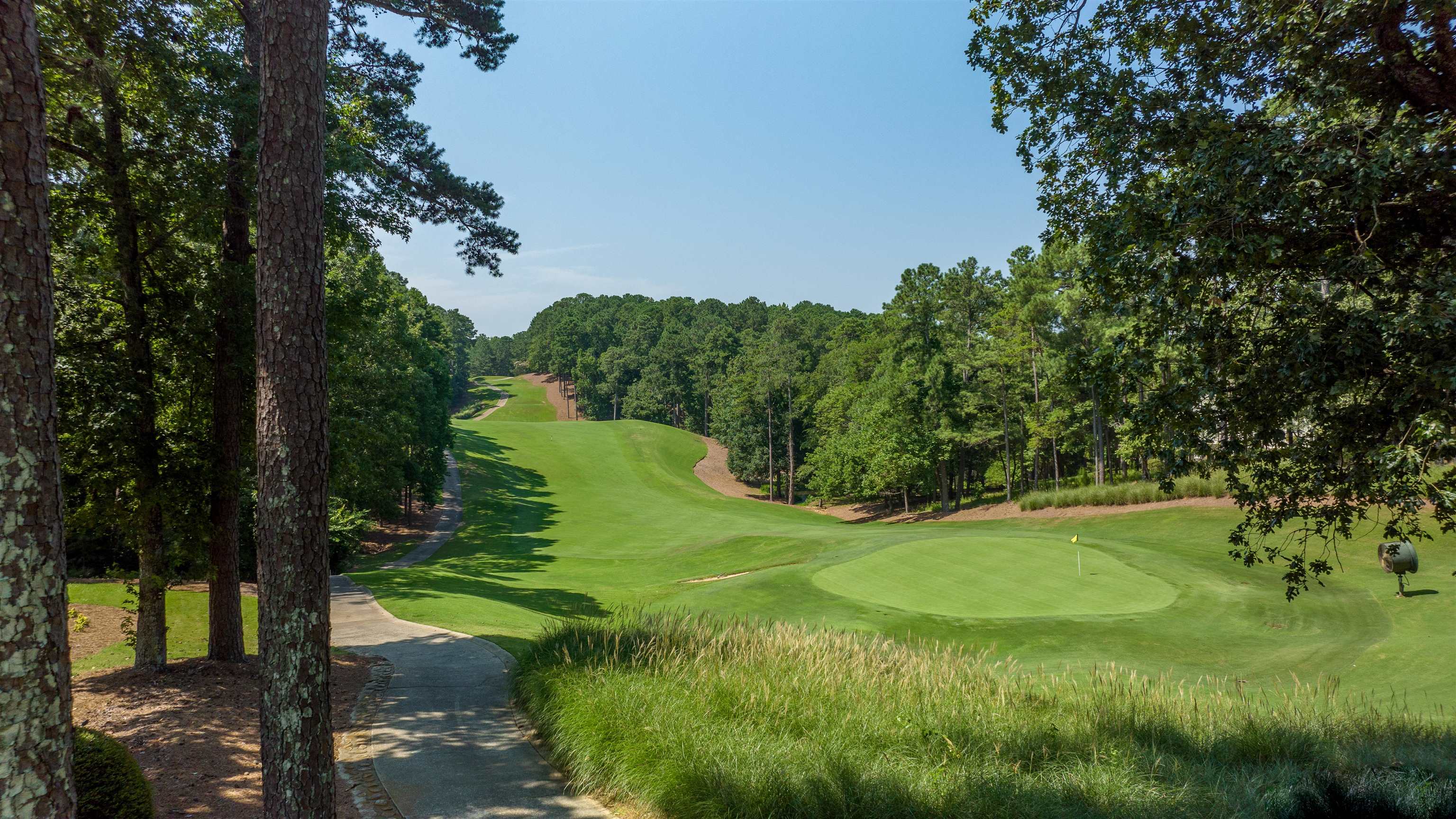 1261 CEDAR RIDGE DRIVE